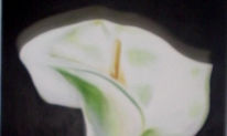 flores y sabores