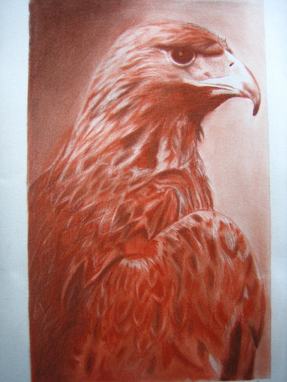 aguila Charcoal