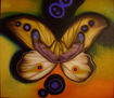 MARIPOSA