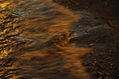 reflejos dorados