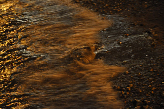 reflejos dorados 