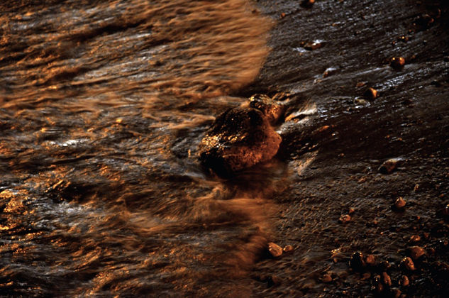 reflejos dorados 