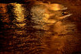 reflejos dorados