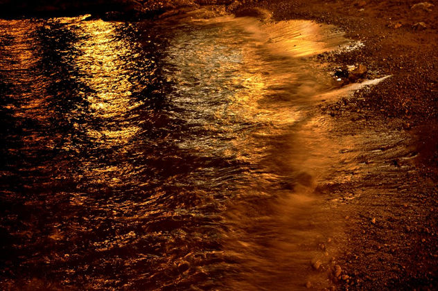 reflejos dorados