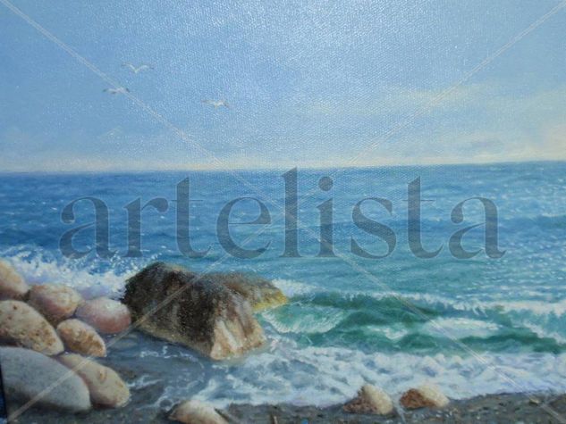 Playas del Candado Oil Canvas Landscaping