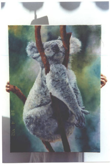 Koala Oil Canvas