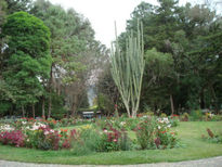 Jardines de antigua...