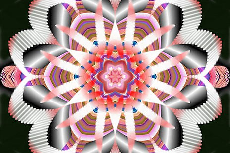 214