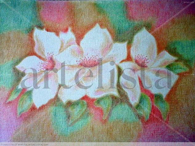 Flores primeras Pencil (coloured) Paper Landscaping