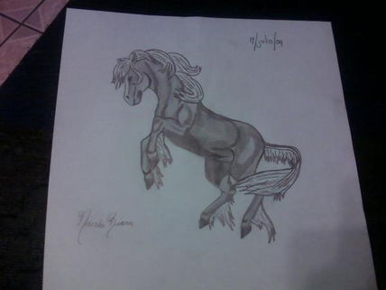 Caballo