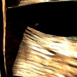 Fotografia, Primerisimo primer pla-tano thumbnail 1