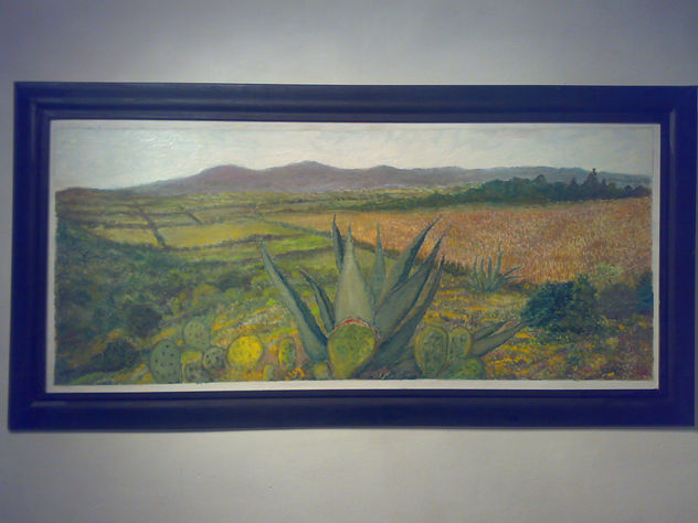 Maguey Del Estado De Hidalgo