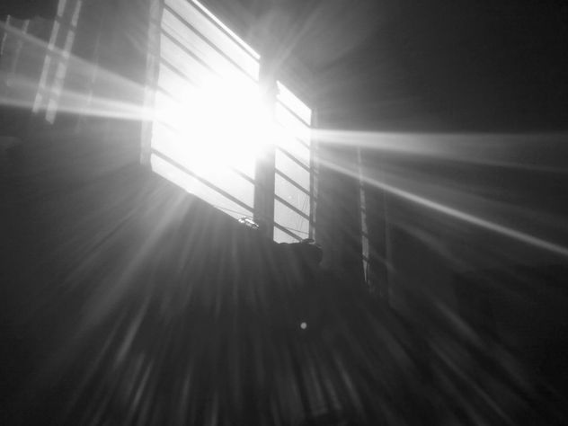 Rayo de Sol Por la Mañana