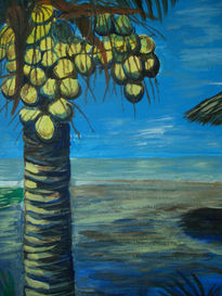 Palmera (1)