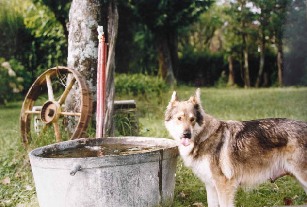 DIANA Naturaleza Color (Química)