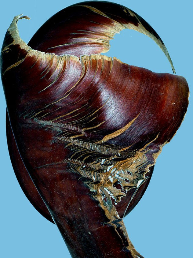 escultura madre naturaleza