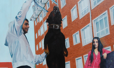 mis amigos y sus perros