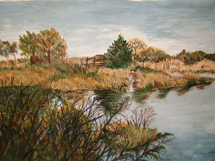 Humedales  del atuel