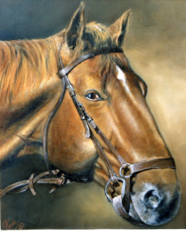 LUCERO