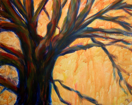 Un árbol, una vida