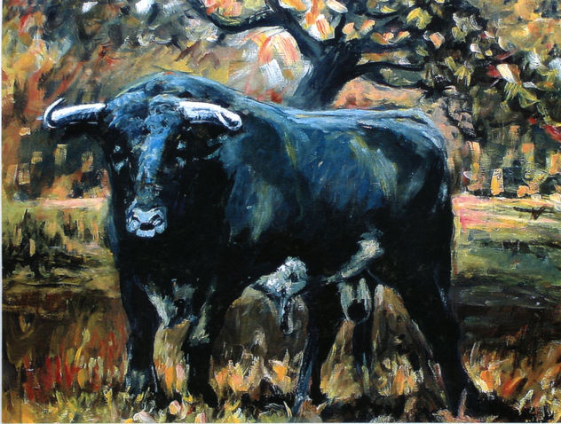 TORO