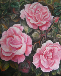 Rosas en el jardín