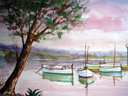 Barcas