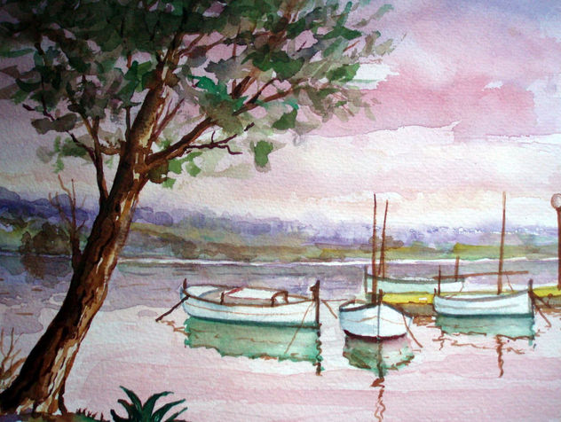 barcas