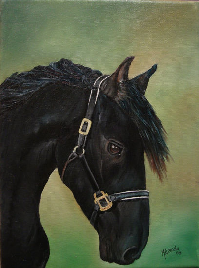 Caballo negro Óleo Lienzo Animales