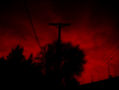 rojos 1