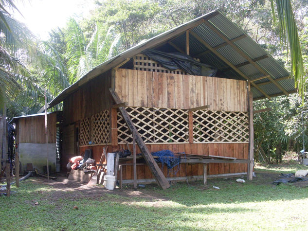 RANCHO DE CHINO EN LE CERRRO DE TORTUGUERO 