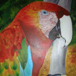 CONOCIENDO A VENEZUELA thumbnail 1