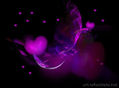 Purple Hearts