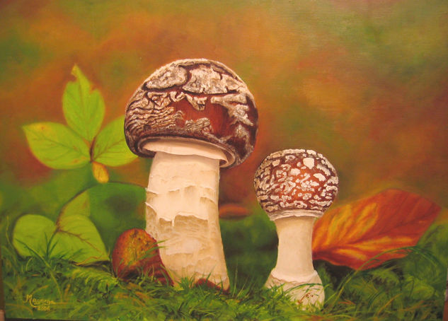 AMANITA SPISSA 