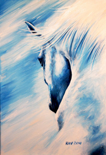 Horse in canter