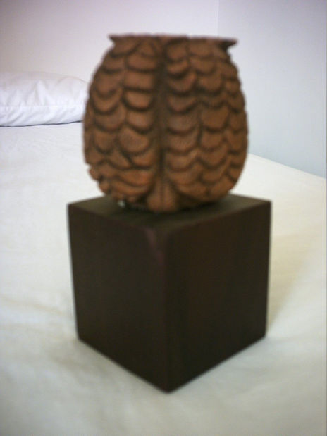 Buho 2