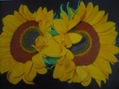 girasoles de agosto