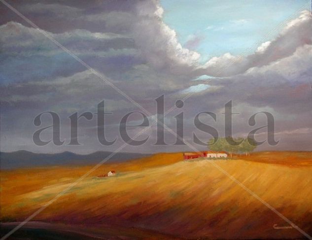 PAISAJE DE CAMPO Oil Canvas Landscaping