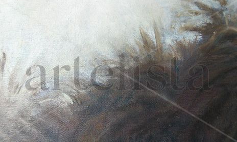 Paisajes del sur, palmeras