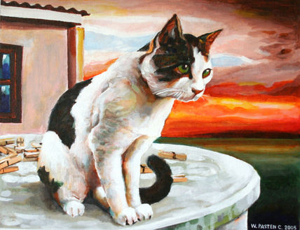 El gato y los perros