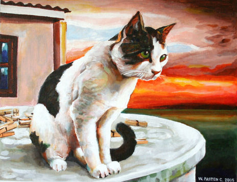 El gato y los perros
