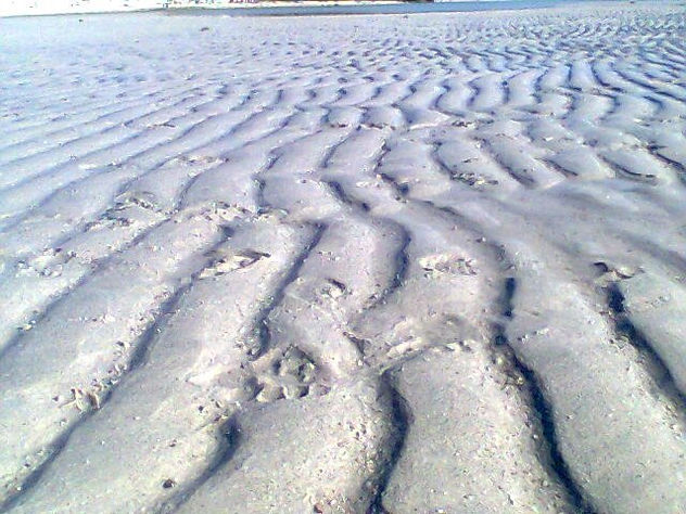 Dunas Marinas