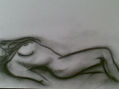 cuerpo 7