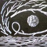 la luna rota 1995-2004. thumbnail 2