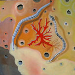 la luna rota 1995-2004. thumbnail 1