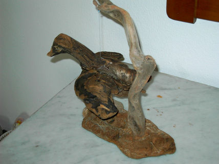 THE WILD GOOSE...