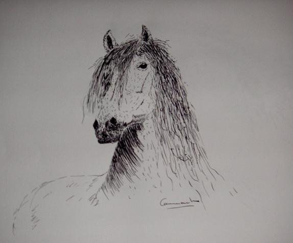 CABEZA DE CABALLO Tinta