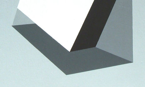 OBRA 08