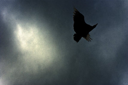 Volando 3