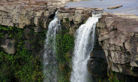 Naturaleza...